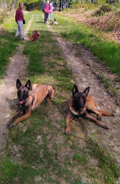 Kador de chien, Dresseur de Chiens à Langon