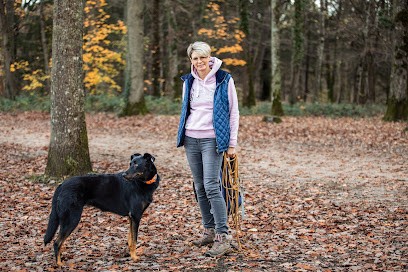 Flying Dog - Educateur Canin, Dresseur de Chiens à Traînou