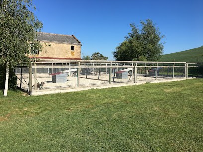 Pernant Et Compagnie, Pension pour Chiens à Doux