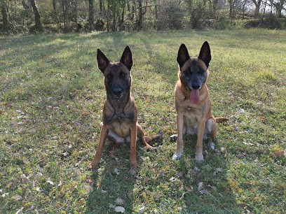 Educ'Flam, Dresseur de Chiens à Montpezat