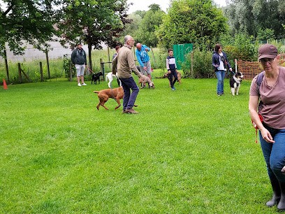 Le Club D ' Education Canine De Pont Audemer, Dresseur de Chiens à Pont-Audemer