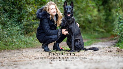 ThéraCanis, Dresseur de Chiens à Mézidon Vallée d'Auge