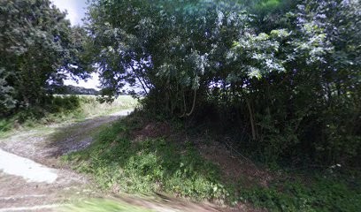 Pension Valpaga, Pension pour Chiens à Guipavas