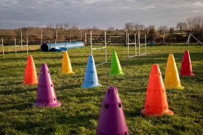 Le Code Canin, Dresseur de Chiens à Maen Roch