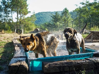 Village Canin Des Cévennes, Pension pour Chiens à Laval-Pradel