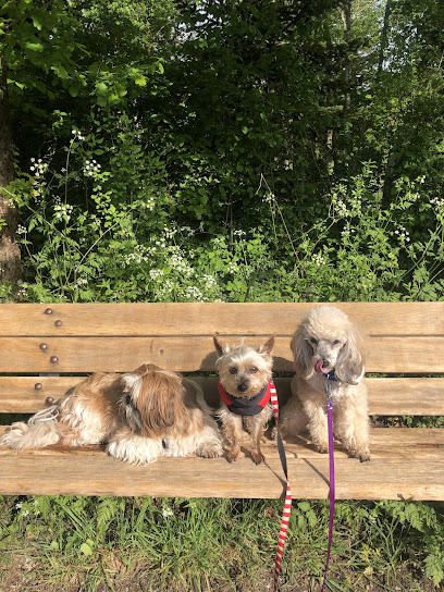 Le Logis Des P'tits Muz'os, Pension Pour Chien à Sainte-Flaive-des-Loups