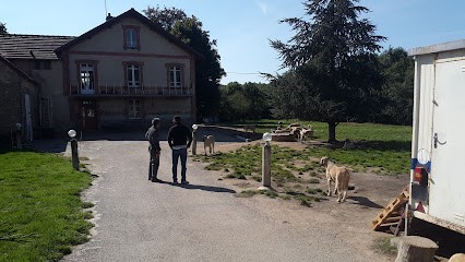 Elevage De Berger D'Anatolie Kangal Aslanda Goutte Noire, Eleveur de Chiens à Jarnages
