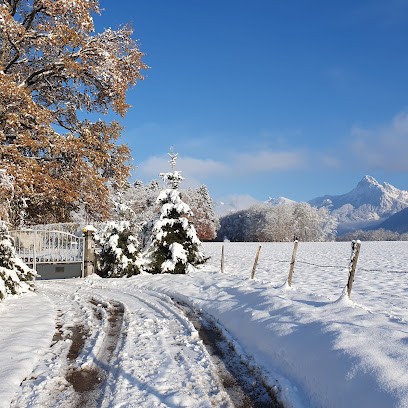 Évasion Sibérienne, Eleveur de Chiens à Saint Paul En Chablais