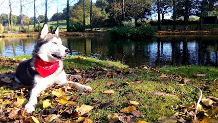 A l'orée de bubry, Pension pour Chiens à Bubry