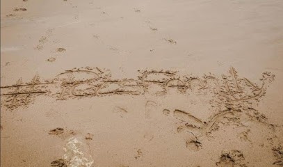 The Pets Family, Pension pour Chiens au Petit-Quevilly