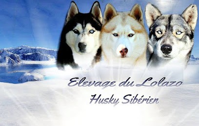 Mazet Des Pitchous Elevage Lolazo, Eleveur de Chiens à Saint-Laurent-d'Aigouze