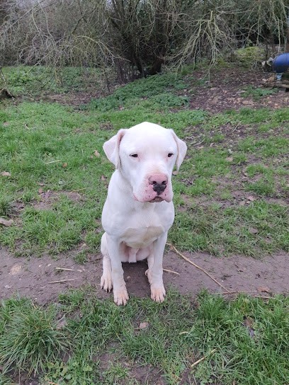 Aux Bonheurs Des Gros Z'ours, Dresseur de Chiens à Louviers