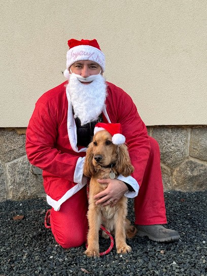 pension canine du domaine de sweety blue, Pension pour Chiens à Saint-Germain-de-Prinçay
