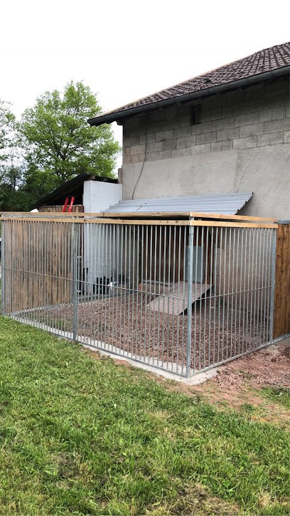 Kalos, Pension pour Chiens à Taintrux