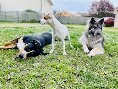 Pension Chiens Les Amis De Snoopy, Pension Pour Chien à Charron