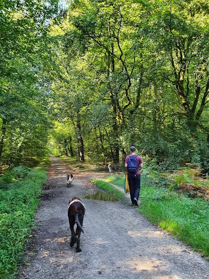 Avec mon chien, Dresseur de Chiens à Rennes
