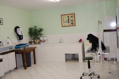 Élevage du charme aux loups, Eleveur de Chiens à Dhuizon