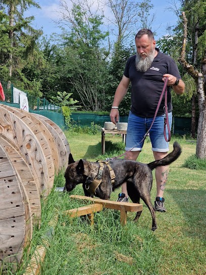 Positive Canitude, Dresseur de Chiens à Saint-Rambert-d'Albon