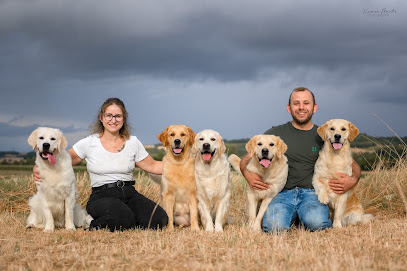 Elevage Des Trèfles À Quatre Pattes Éleveur De Chiens à Sérignac