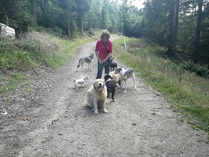 Pension Canine Chez Sophie, Pension pour Chiens au Bonhomme