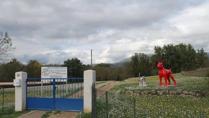 Pension Dog Méditerranée, Pension pour Chiens à Mouans-Sartoux
