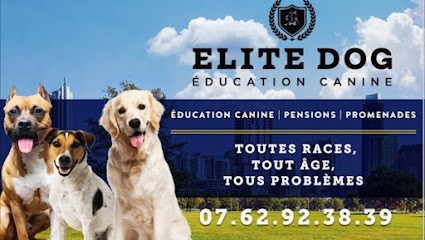 Elite dog, Dresseur de Chiens à Nanterre