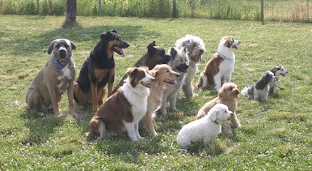 Virginie CUISINIER éducateur canin, Dresseur de Chiens à Quincey