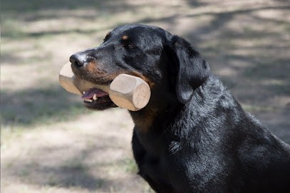 Centre D'éducation Canine De Valdonne, Dresseur de Chiens à Peypin