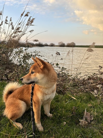 Les Roses De Charlemagne, Eleveur de Chiens à Civens