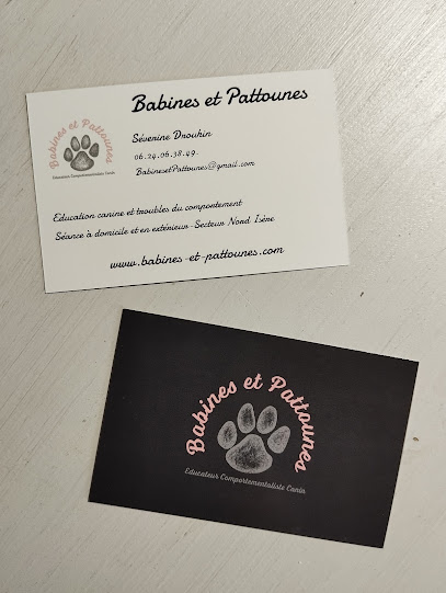 Babines Et Pattounes Dresseur De Chiens aux Avenières Veyrins-Thuellin