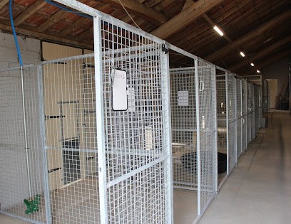 Pension/Education de L'Elevage de Destarac, Pension pour Chiens à Larrazet