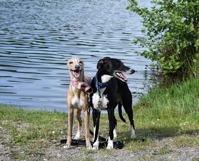 Élevage Du Domaine D'Hémya, Eleveur de Chiens à Ars-les-Favets