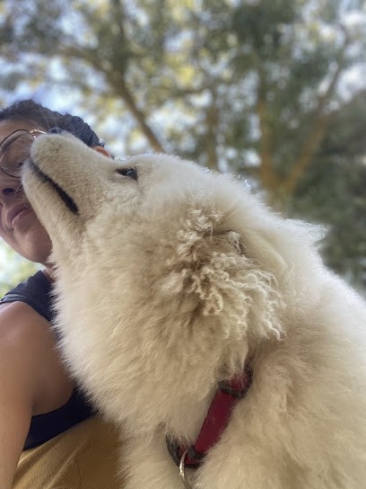 MARINA EDUCANIA, Dresseur de Chiens à Rousset