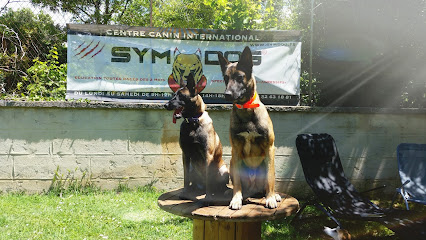 Team Dog Des Savoies Dresseur De Chiens à Aix-les-Bains