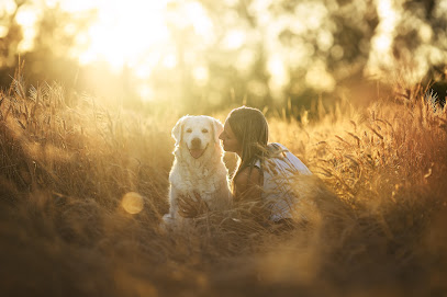 Educateur Canin Bien-Être - Ariane Dresseur De Chiens à Sillingy