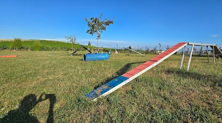 Le Domaine d'Hayka, Dresseur de Chiens à Ancy