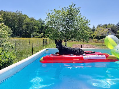 Jean-Pierre kauffmann Éducation canine, Dresseur de Chiens à Sens