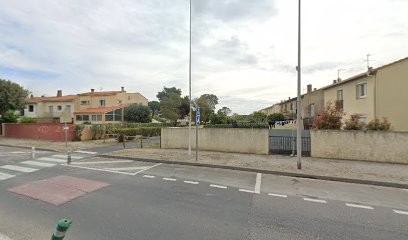 Elevage Golden Retriever Du Bois Chenes Tauzains, Eleveur de Chiens à Canet-en-Roussillon