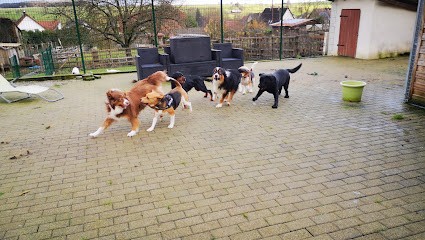 Freaky's Holidays, Pension pour Chiens à Ernolsheim-lès-Saverne