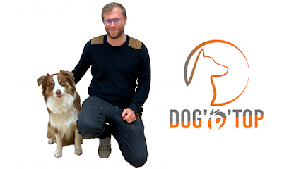 Dog'o Top - Educateur Canin, Comportementaliste, Dresseur - Hesdin, Berck, Etaples, Dresseur De Chiens à Beaurainville
