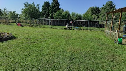 CHENIL DE LA RENARDIERE, Pension pour Chiens à Orconte