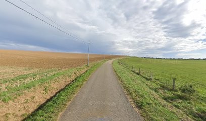 Edi Dogs Hotel, Pension pour Chiens à Dommary-Baroncourt