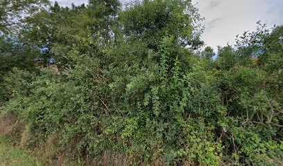 Educateur Canin Comportementaliste- La Compagnie De Chiens, Dresseur de Chiens à Lempaut