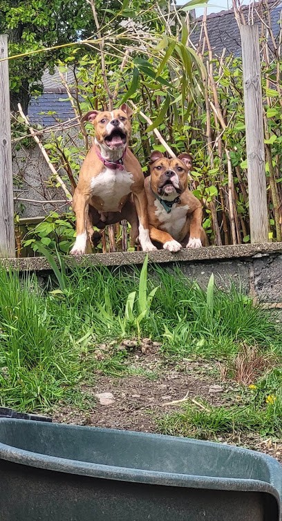 LE RU GWENAELLE, Dresseur de Chiens à Plomelin