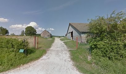 L'ARCHE DE GRON 18, Pension pour Chiens à Gron