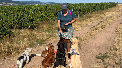 Mes Complices Canins Dresseur De Chiens à Bully