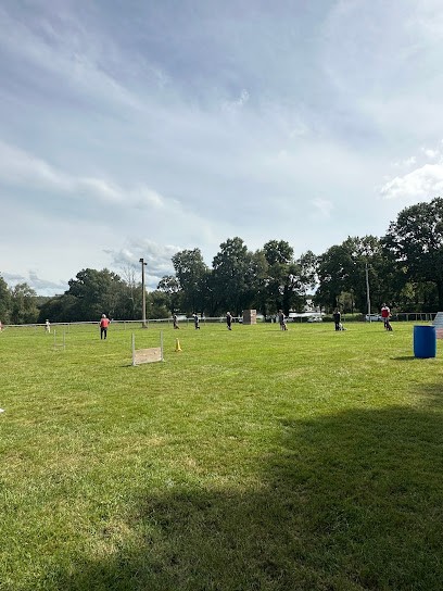 Club Canin Plouaysien, Dresseur de Chiens à Plouay