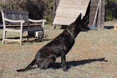 Centre D'education Canine Saint Maximin, Dresseur de Chiens à Saint-Maximin-la-Sainte-Baume