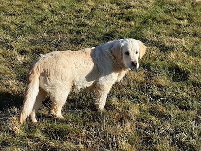 Elevage du Chateau de Plaisance, Eleveur de Chiens à Saint-Michel-de-Saint-Geoirs