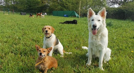 Educateur canin en Sarthe et Mayenne - Lucky Dog, Dresseur de Chiens à Saint-Denis-d'Anjou